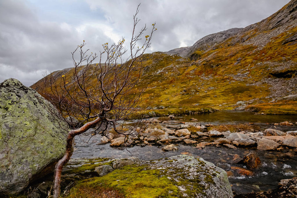 Nature in Norway, Senja island - Foto, immagini
