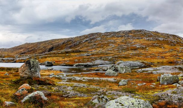 Nature in Norway, Senja island - Valokuva, kuva