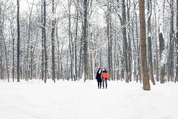 A loving couple walking in winter park. Snowing, winter. - Фото, изображение