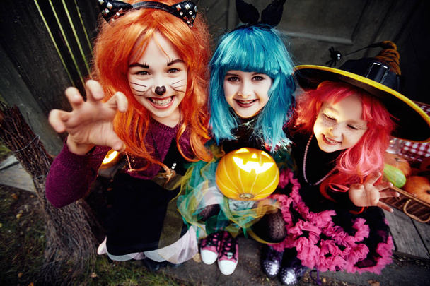 Frightening girls in wigs with jack-o-lantern  - Photo, Image