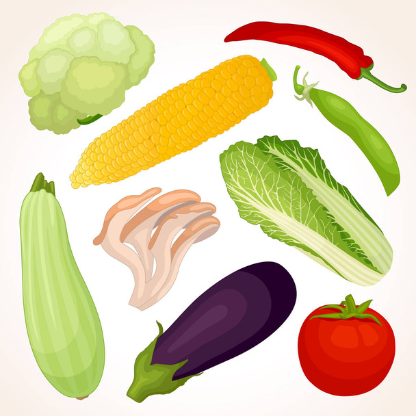 Set of various vegetables. Food template. - Vektori, kuva