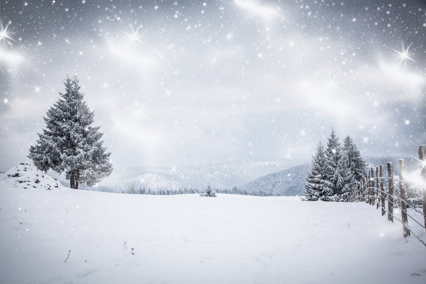 Karácsonyi háttér havas téli táj hó vagy rekedt borított fenyőfák - téli varázslat ünnep - Fotó, kép