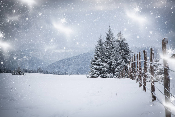Fondo navideño de paisaje nevado de invierno con abetos cubiertos de nieve o heladas - vacaciones mágicas de invierno - Foto, imagen