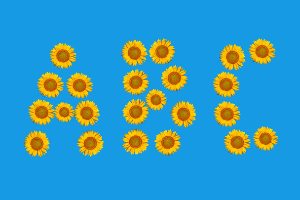 Blumenbuchstaben aus Sonnenblumenblüten. - Foto, Bild