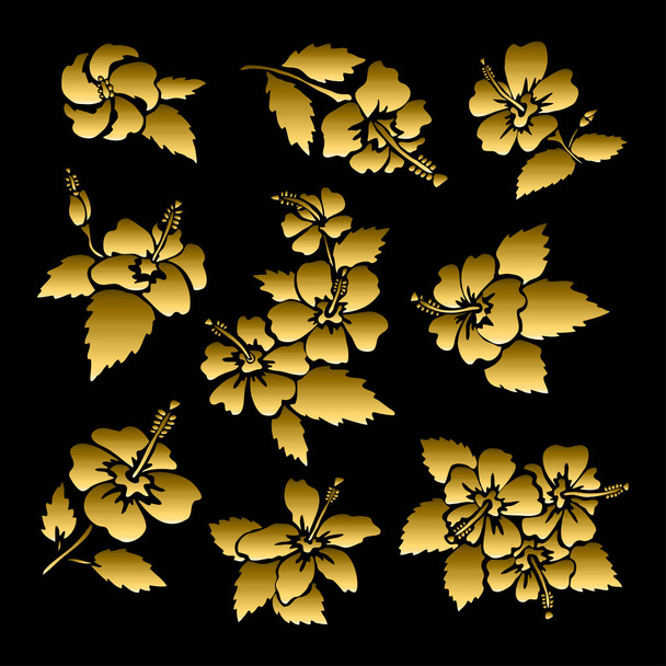 golden hibiscus set - Vettoriali, immagini