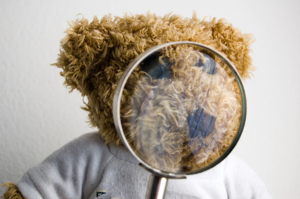 Urso de peluche
 - Foto, Imagem