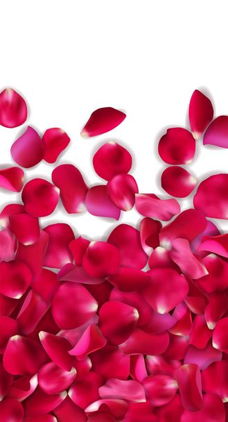 Κάρτα ημέρα του Αγίου Βαλεντίνου με ροζ, κόκκινο τριαντάφυλλο κουπιά σε λευκό φόντο, εικονογράφηση διάνυσμα - Διάνυσμα, εικόνα