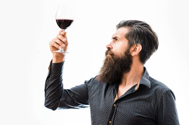 bearded man with wine - Фото, изображение