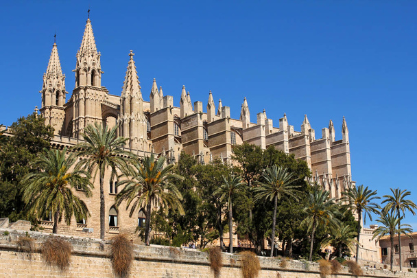 Cathédrale La Seu de Palma à Palma de Majorque, Espagne
 - Photo, image