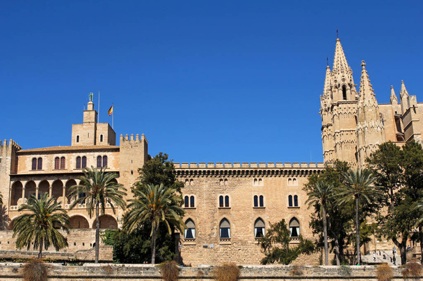 La Seu kathedraal van Palma in Palma de Mallorca, Mallorca, Spanje Spanje - Foto, afbeelding