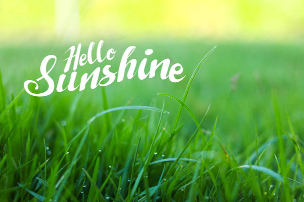 Inspirational Typographic Quote. "hello sunshine" creative graph - Photo, Image