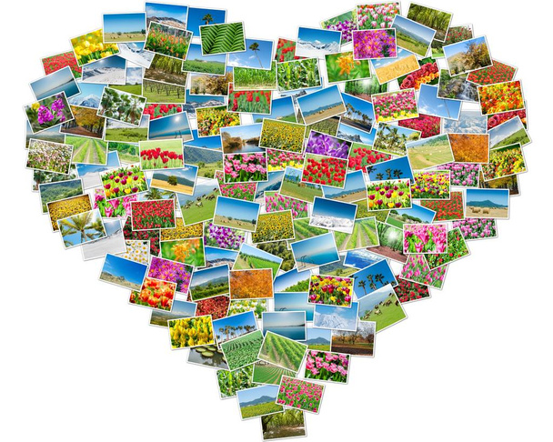 Various nature photos arranged in heart frame - Photo, Image