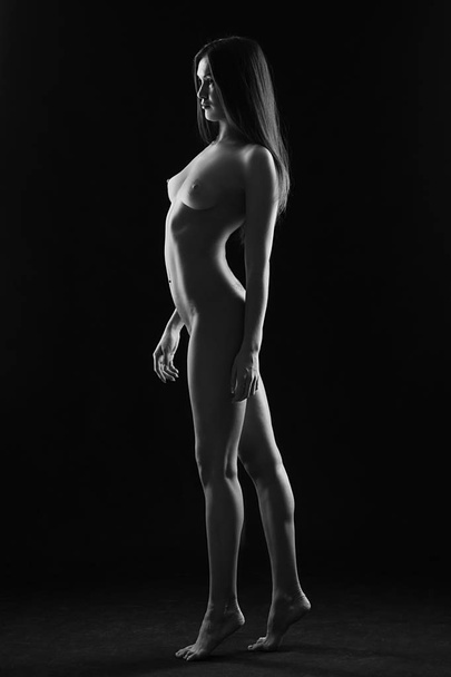 wunderschöne nackte weibliche Silhouette - Foto, Bild