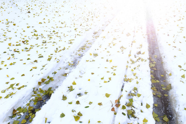 προστάτες της αυτοκίνητα στο χιόνι και πεσμένα φύλλα πράσινο με ηλιόλουστες hotspot - Φωτογραφία, εικόνα