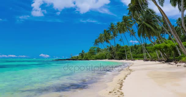 Strand auf Samoa-Insel - Filmmaterial, Video