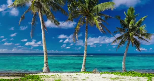spiaggia sull'isola di Samoa
 - Filmati, video