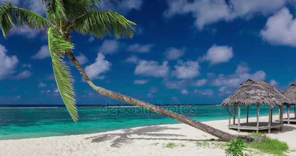 Praia tropical na ilha de Samoa
 - Filmagem, Vídeo
