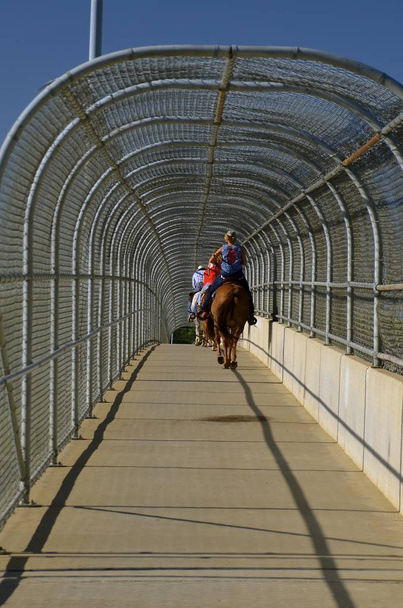 Cavalli e cavalieri passano sopra un ponte
 - Foto, immagini