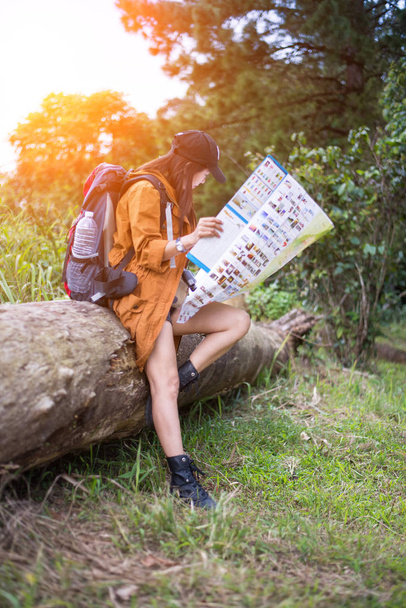Women hiker with backpack checks map to find directions in wilderness area - 写真・画像