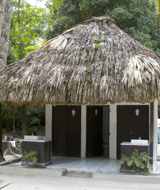 banheiros ao ar livre tikal guatemala
 - Foto, Imagem