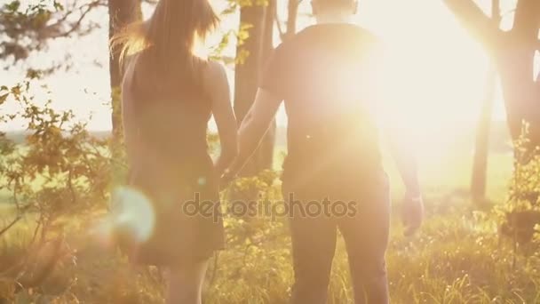 Beautiful sunset in nature. Lovers walk in forest, hold hands woman touches leaves. Slow mo, steadicam shot, backview - Footage, Video