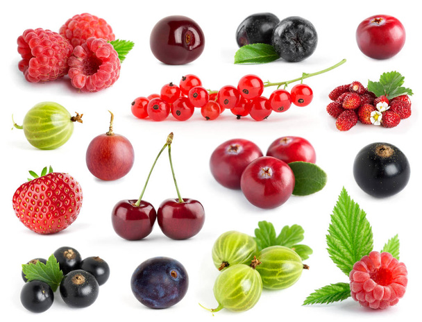 Collection of berries - Foto, afbeelding
