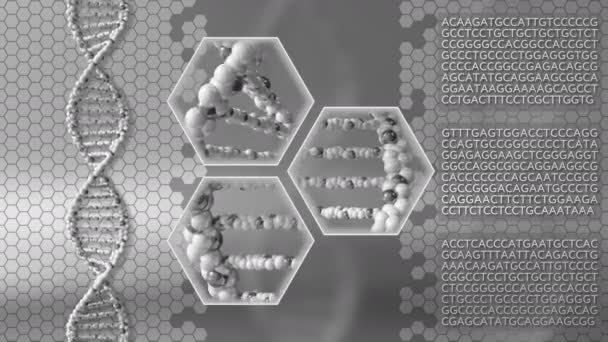 Moléculas de DNA fundo movimento cinza. Pesquisa genética, medicina moderna ou conceitos de digitalização. animação loopable sem costura 4K
 - Filmagem, Vídeo