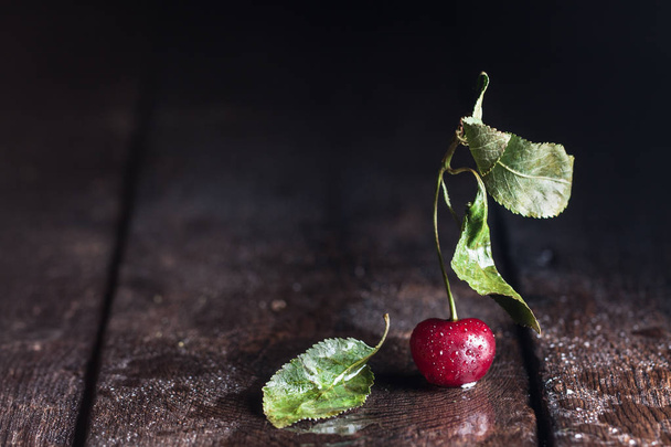 Fresh single cherry with drops - Photo, Image