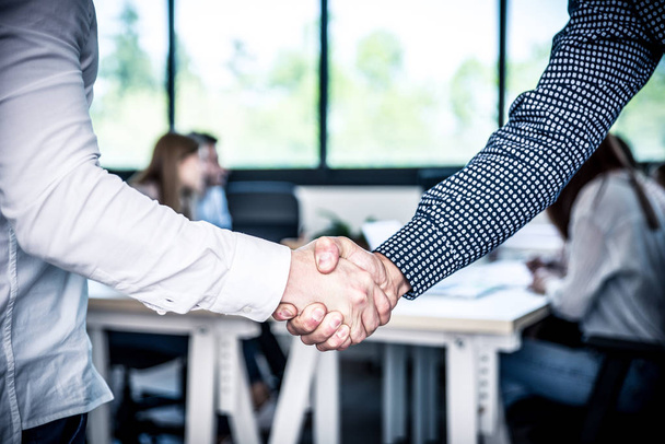 Business deal and handshake - Foto, Bild
