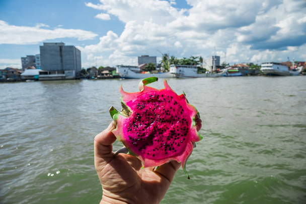 Taze pitaya yarısıdır Singapur'un waterfront arka plan üzerinde elinde - Fotoğraf, Görsel