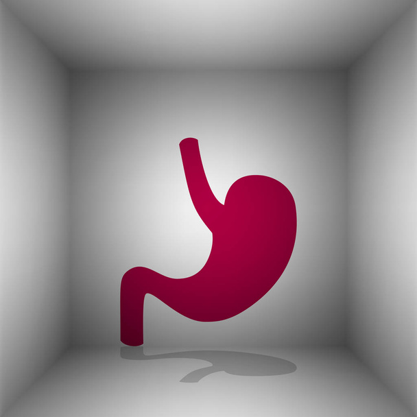 Anatomía humana Estómago. Icono de Bordo con sombra en la habitación
. - Vector, Imagen
