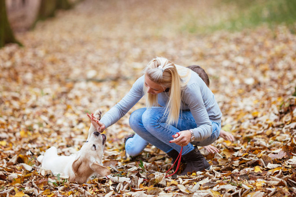 young woman with dog - Foto, Imagen