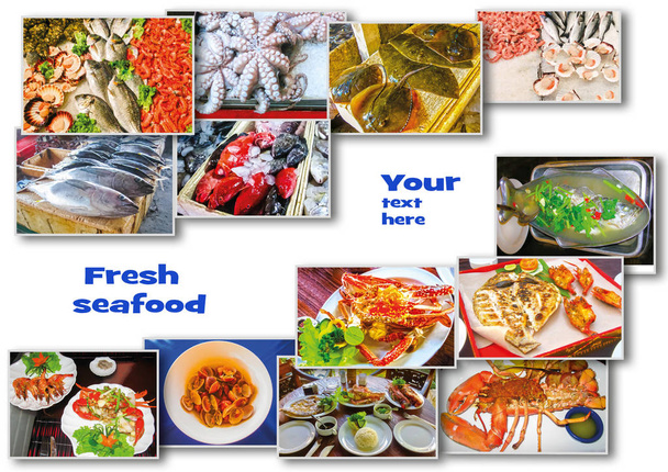 Meri ruoka kollaasi raaka kala ja ravintola kala ruokia valkoisella pohjalla
 - Valokuva, kuva