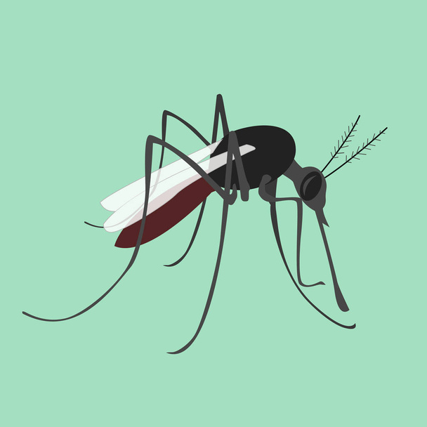 tropical fever zika virus - Vector, Image