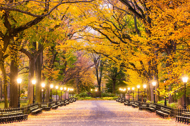 Central Park στη Νέα Υόρκη - Φωτογραφία, εικόνα