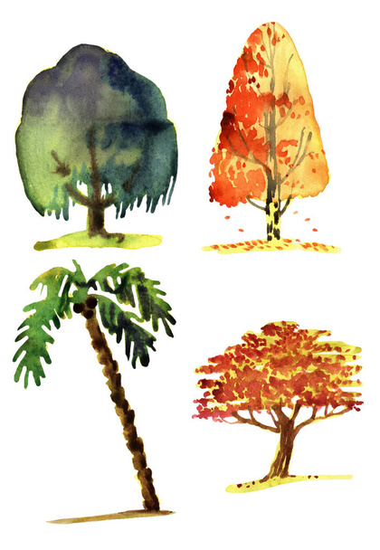 Ακουαρέλα απεικόνιση των δέντρων - Φωτογραφία, εικόνα