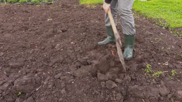 Az ember a földön ás lapáttal - Felvétel, videó