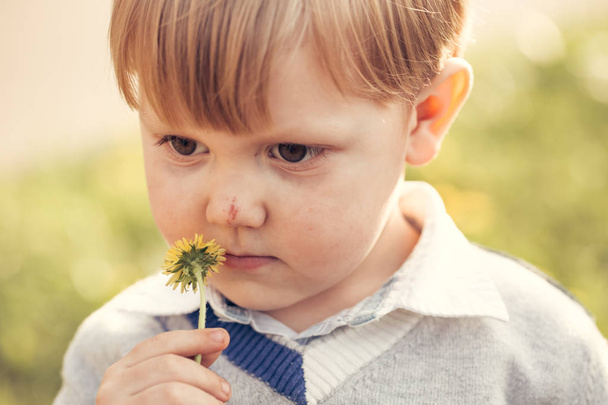 Cute boy sniffs at flower - Zdjęcie, obraz