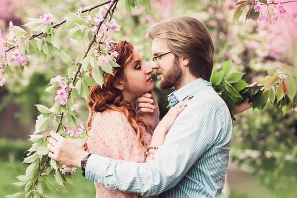 Avrupa kaç bahar kiraz ağacının altında öpüşme - Fotoğraf, Görsel