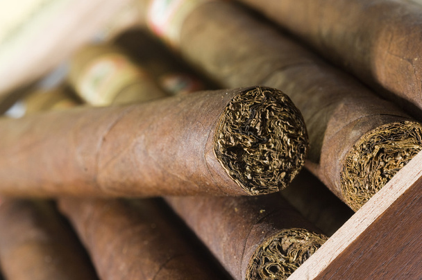 hochwertige handgemachte Zigarren aus Nicaragua - Foto, Bild