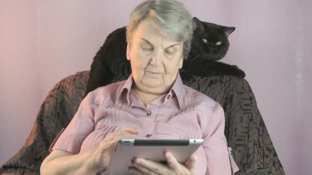 Elderly woman sits at armchair next to black cat - Imágenes, Vídeo