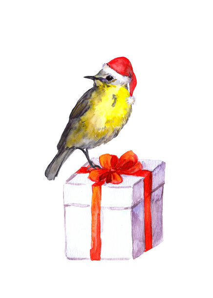 Cute bird - red santa hat. Christmas present box. Watercolor - Fotoğraf, Görsel