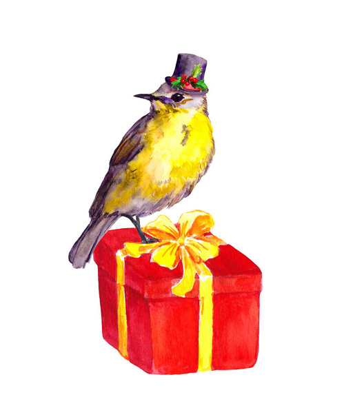 Bird in top hat on red present box. Watercolor - Photo, Image