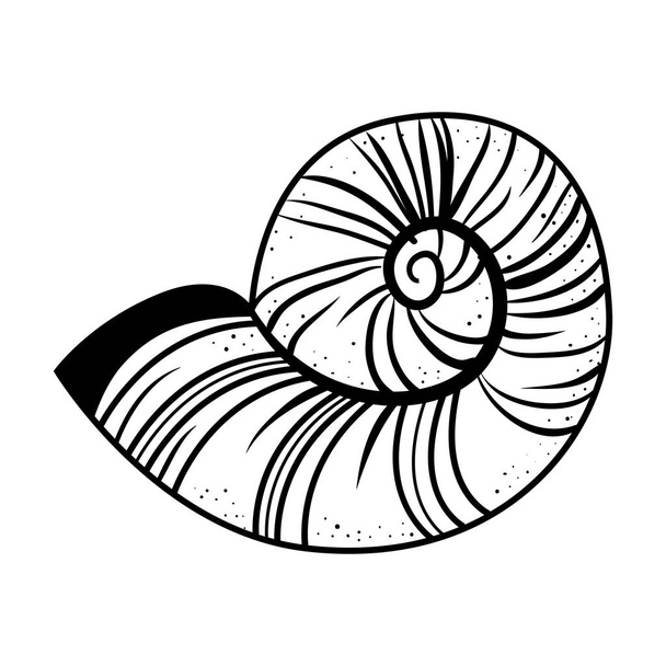 coquille d'escargot icône isolée
 - Vecteur, image