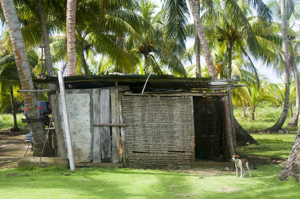 skladovací haly v džungli architektura velké kukuřice ostrov Nikaragua - Fotografie, Obrázek