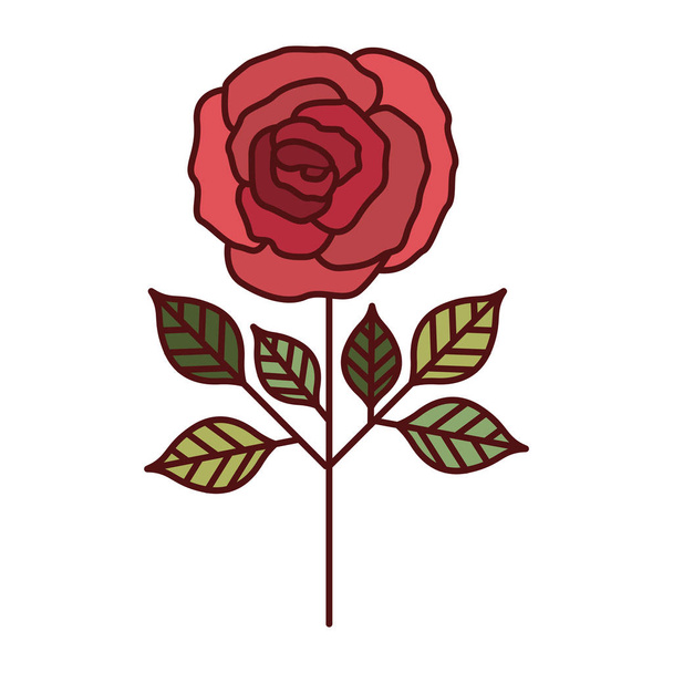 Conception de fleur de rose isolée
 - Vecteur, image