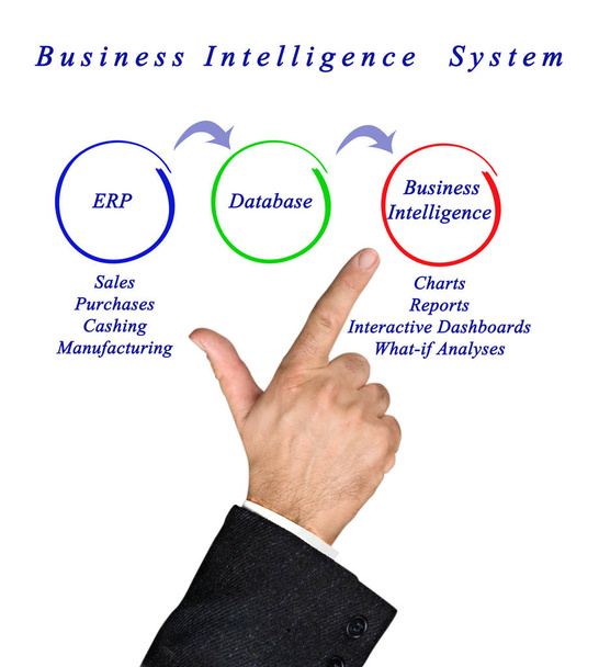 diagram of Business Intelligence System - Photo, Image