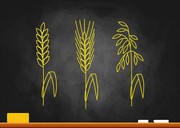 Рисунок зерновых на доске
 - Вектор,изображение