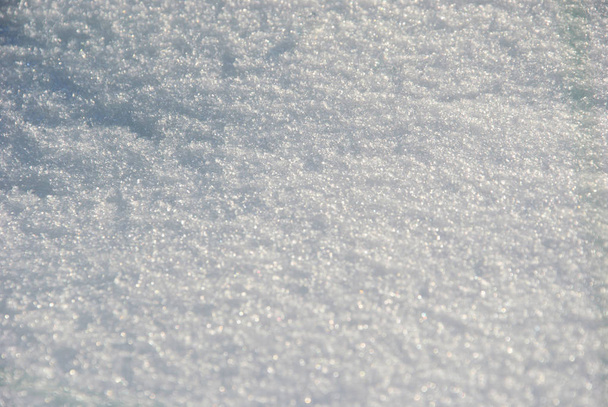 白いふわふわの雪 - 写真・画像
