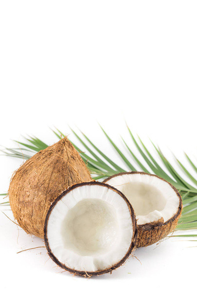 Open en hele kokosnoten en palmbladeren - Foto, afbeelding